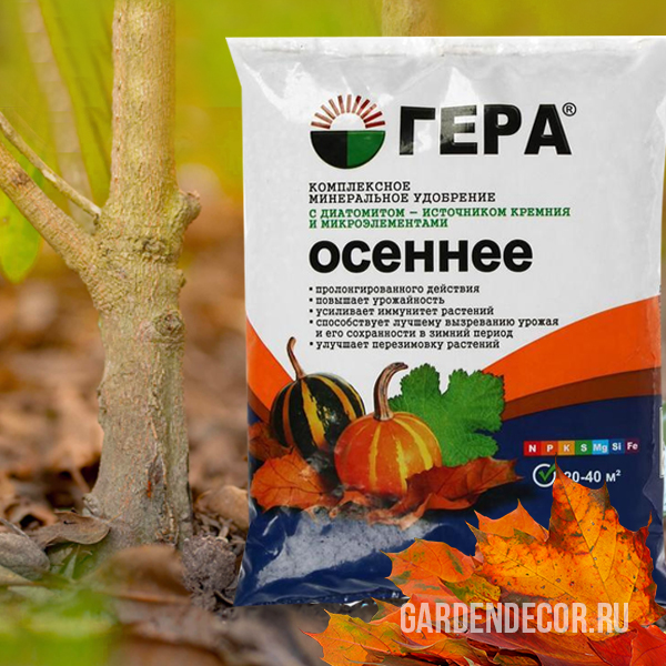 Подкормка сада осенью